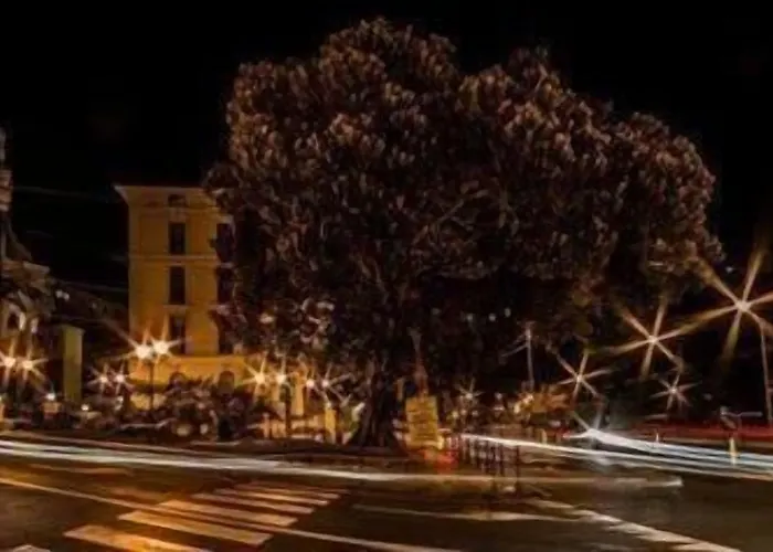 Guest house Pisolo 4*